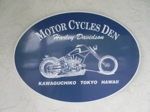 ADAY 029