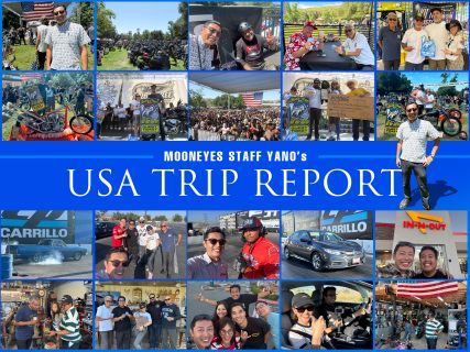 USA Trip Born Free 15!!!